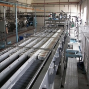 Food Processing Lines